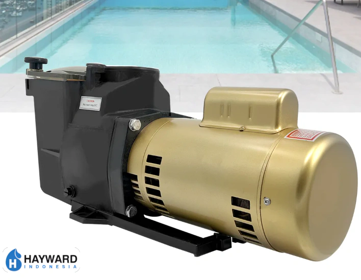 pompa hayward 2 hp